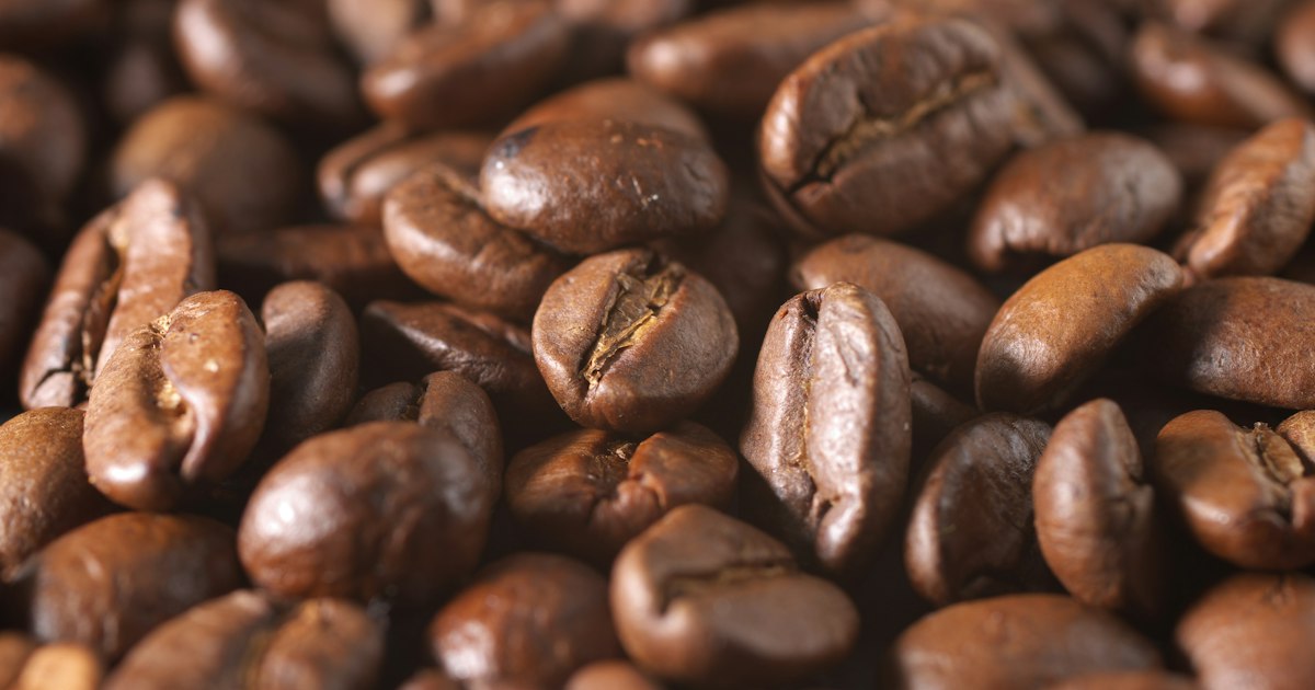 Caffeine vs Paraxanthine: Which to Choose and for Whom